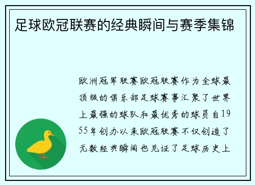 足球欧冠联赛的经典瞬间与赛季集锦